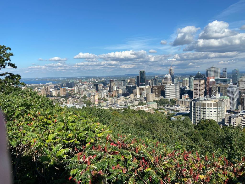 Mont Royal, Hmm... blog